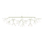 Moooi - Heracleum III, Linear Green - Grön - Takkronor