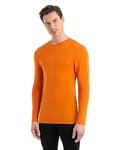 Icebreaker Men's Everyday Long Sleeve Crewe Top - Long Sleeve T-Shirt - 100% Merino Wool Base Layer - Earth, S