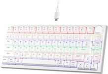 NEWMEN GM326 Wired Gaming Keyboard,75% Percent TKL Hot Swappable Compact LED Ba