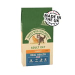James Wellbeloved Adult Cat Food Oral Health Turkey 4kg (pack of 2)