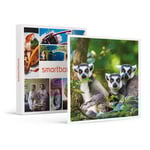Coffret Cadeau SMARTBOX - Journée zoo en famille pour 1 adulte et 2 enfants au Safari de Peaugres- Sport & Aventure