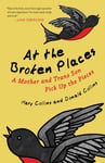 Donald Collins - At the Broken Places A Mother and Trans Son Pick Up Pieces Bok