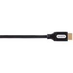 AVINITY High Speed HDMI kabel - Guldbelagt - 7 m