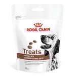 Royal Canin Veterinary Diets Dog Gastrointestinal Hundgodis 230 g