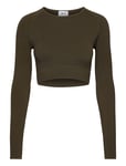 Ribbed Seamless Crop Long Sleeve Sport Crop Tops Long-sleeved Crop Tops Green AIM'N