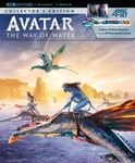 Avatar: The Way of Water - Collectors Edition (4K Ultra HD + Blu-ray) (4 disc) (Import)