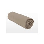 Home Passion Fitted Sheet 90 x 190 cm 25 cm 57 Yarns Cotton Cap, Beige, 90 x 190 x 25 cm