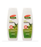 Palmer’s Olive Oil Formula Shine Therapy Shampoo 400ml 13.5 fl oz - Pack of 2