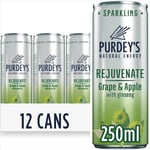 UK Rejuvenate Natural Energy Drink 12 x 250 ml Cans 250 (Pack of 12)