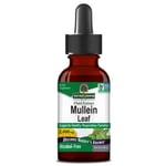 Nature's Answer - Mullein Leaf (30 ml)
