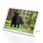 1 x Fridge Magnet - Black Cat Animal Pets Eyes Grass Cool Classic Fridge Magnet Kitchen #2604