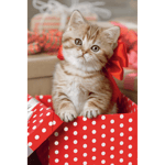 TREFL minipussel Lovely animals 54 st