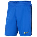 Nike - FC Barcelona 2021/22 Season Shorts Other Game Equipment, L, Man
