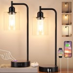 Aooshine Bedside Lamps Set of 2, Industrial Touch Lamps Bedside with USB C+A for