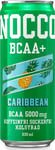 Nocco BCAA+ Koffeinfri, Caribbean, 33 cl