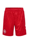 Dbu 24 Away Shorts Kids Bottoms Shorts Sport Shorts Red Hummel