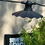 Shady Singel till Cosy partyslinga - LightsOn