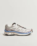 Salomon XT-6 Sneakers Silver Cloud/Iron