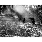 War WWII USA Battle M4 Sherman Tank 1944 Photo Premium Wall Art Canvas Print 18X24 Inch