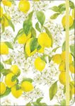 Anteckningsbok A6 linjerad Amalfi Lemons
