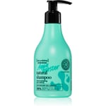 Natura Siberica Hair Evolution Aqua Booster Genoprettende og fugtgivende shampoo til skørt og kedeligt hår 245 ml