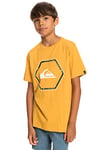 Quiksilver Garçon In Shapes Yth T shirt, Bright Gold, 8 ans EU
