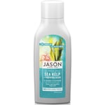 Jason Sea Kelp + Porphyra Algae Conditioner