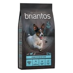 2 x 12 kg viljaton Briantos-koiranruoka erikoishintaan! - Briantos Adult Mini lohi viljaton (2 x 12 kg)