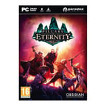 Pillars Of Eternity - Hero Edition PC