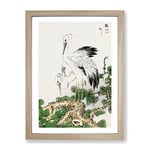 Two Japanese Storks By Numata Kashu Asian Japanese Framed Wall Art Print, Ready to Hang Picture for Living Room Bedroom Home Office Décor, Oak A3 (34 x 46 cm)