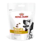 Royal Canin Veterinary Diets Dog Urinary Hundgodis 230 g