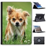 Fancy A Snuggle Playful Chihuahua In Park Faux Leather Case Cover/Folio for the Apple iPad 9.7" 5th Generation (2017 Version)