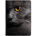 Azzumo Close Up Grey Cats Yellow Eye Faux Leather Case Cover/Folio for the Lenovo Smart Tab M10 10.1 (2019)