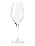 Premium Champagneglas 37 Cl Klar 2 St. Home Tableware Glass Champagne Nude Rosendahl