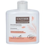 Cattier Shampooing Vinaigre de romarin bio Cheveux gras