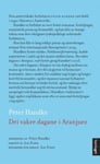Peter Handke - Dei vakre dagane i Aranjuez ein sommardialog Bok