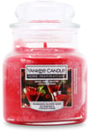 Yankee Candle Berry Mint Martini Small Jar 104g