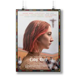 Lady Bird Movie Art Print A0 A1 A2 A3 A4 Satin Photo Poster p10061h