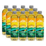 12 X Latitude 65 500 Ml Haparanda - Ananas