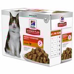 Perfect Digestion Adult Våtfoder för Katt - 12 x 85 g