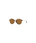 Ray-Ban Womens Sunglasses Round Fleck 2447 1160 Tortoise & Gold Brown Metal - One Size