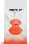 Coffee Plant Kavos Augalas - Flow Juicy Fruit Filter 800G