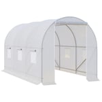Greenhouse Solid Frame Walk-in Garden Grow Large Insect Poly Tunnel