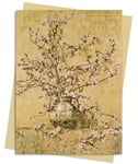 - Charles Coleman: Apple Blossom Greeting Card Pack of 6 Bok