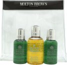 Molton Brown Gift Set 50ml Suma Ginseng Body Wash + 2 x 30ml Fabled Juniper Berries & Lapp Pine Body Wash