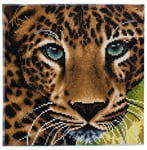 Diamantmålning Canvas 30x30cm Leopard