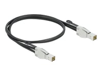 Delock - Extern Sas-Kabel - Sas 32Gbit/S - Mini Sas Hd (Sff-8674) (Hane) Till Mini Sas Hd (Sff-8674) (Hane) - 1 M