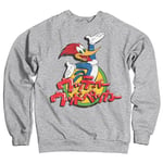 Woody Woodpecker Washed Japanese Logo Sweatshirt, Sweatshirt
