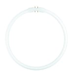 Osram Cirkellysrör T5 55W/840 4200lm 4000K