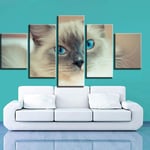 Prints On Canvas The Picture 5 Pieces Simple Children'S Room Animal Cat Decoration Painting Inkjet Artist Home Craft Painting,A-No Frame 20X35X2+20X45X2+20X55Cmx1 - wall art print - Image printed -